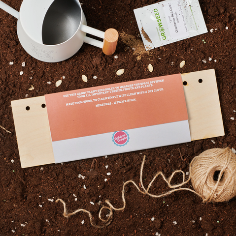 Oakdene Designs Garden Personalised Wooden Plant Seed Gardening Ruler