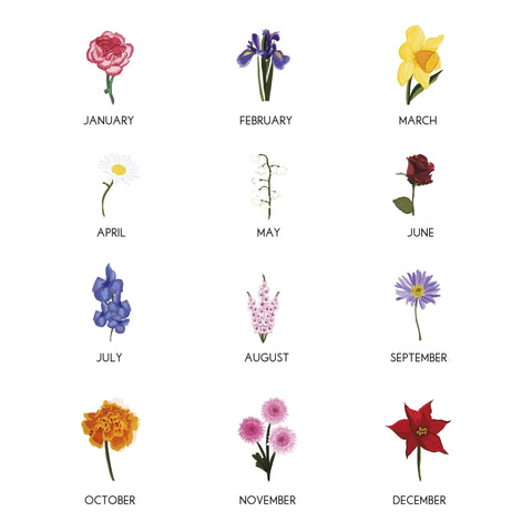 Oakdene Designs Notebooks Personalised Birth Flower Pocket Notebook