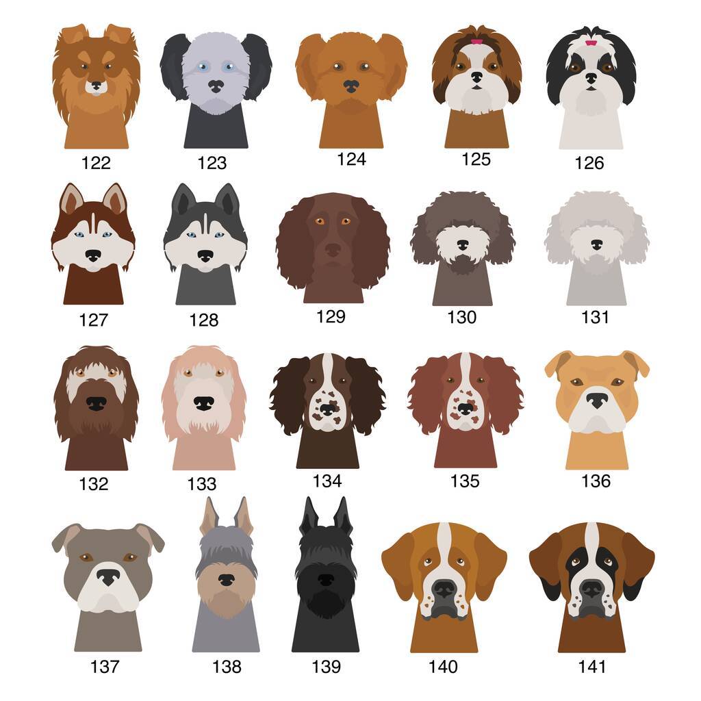 Oakdene Designs Prints Personalised 'True Love' Dog And Owner Portrait Print