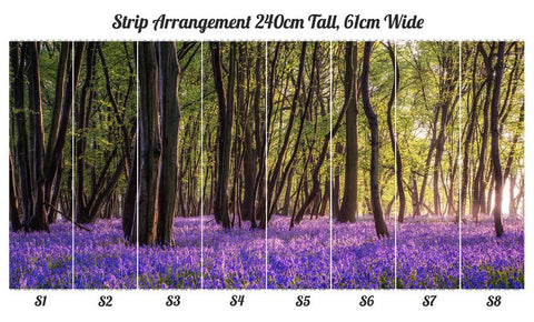 Oakdene Designs Wallpaper / Murals Bluebell Woods Self Adhesive Wallpaper Mural