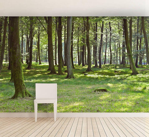 Oakdene Designs Wallpaper / Murals Woodland Forest Self Adhesive Wallpaper Mural