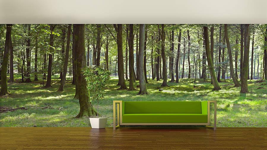 Oakdene Designs Wallpaper / Murals Woodland Forest Self Adhesive Wallpaper Mural