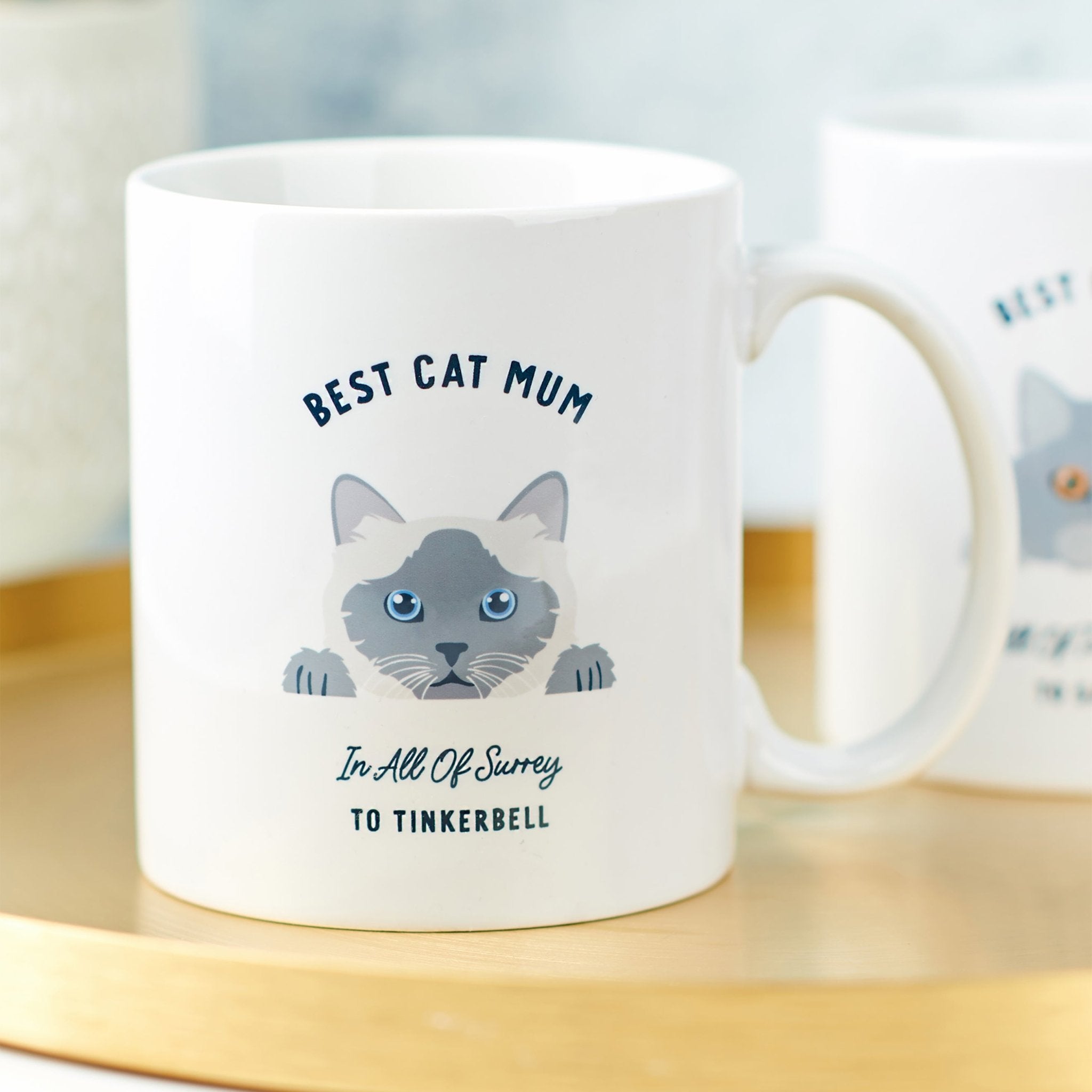 Personalised Best Cat Mum and Dad Mug - Oakdene Designs