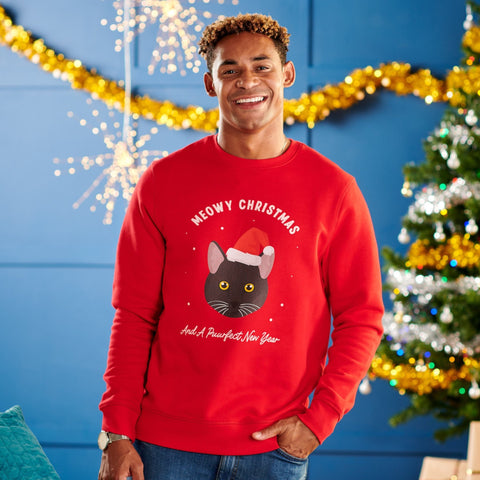 Personalised Christmas Cat Breed Jumper - Oakdene Designs