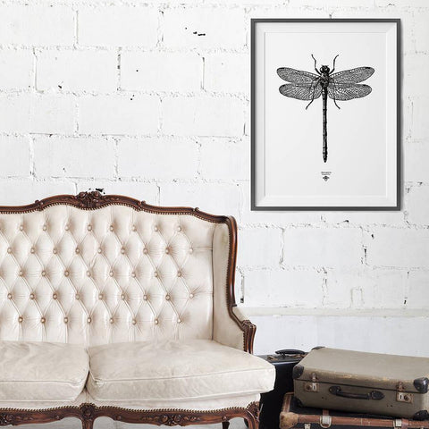 'Vintage Dragonfly Illustration' Print - Oakdene Designs